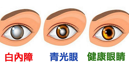 微信图片_20230421093507.png