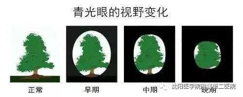 1629455892829754.jpg 微信图片_20210820183702.jpg
