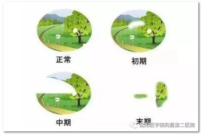 1629455919673057.jpg 微信图片_20210820183704.jpg