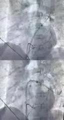 1637120612968336.jpg 3.jpg