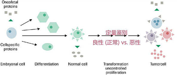 1637717086980502.jpg 图片3.jpg