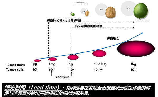 1637717091870431.jpg 图片4.jpg